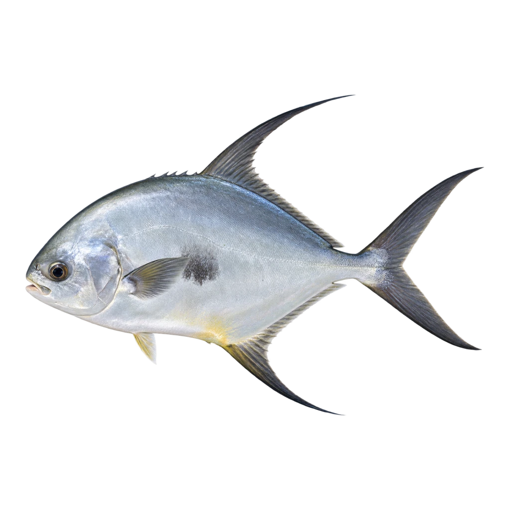 Permit