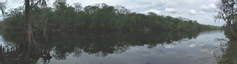 Hontoon Island State Park