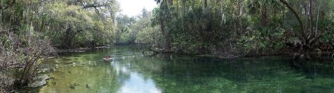 Blue Spring State Park