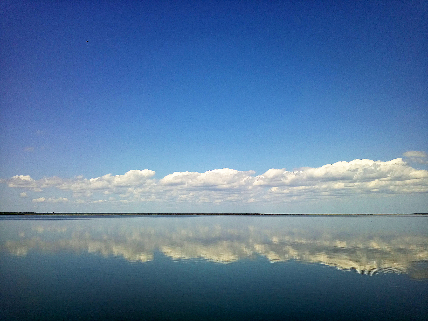 Lake Jesup skyline, Oviedo, Florida..jpg