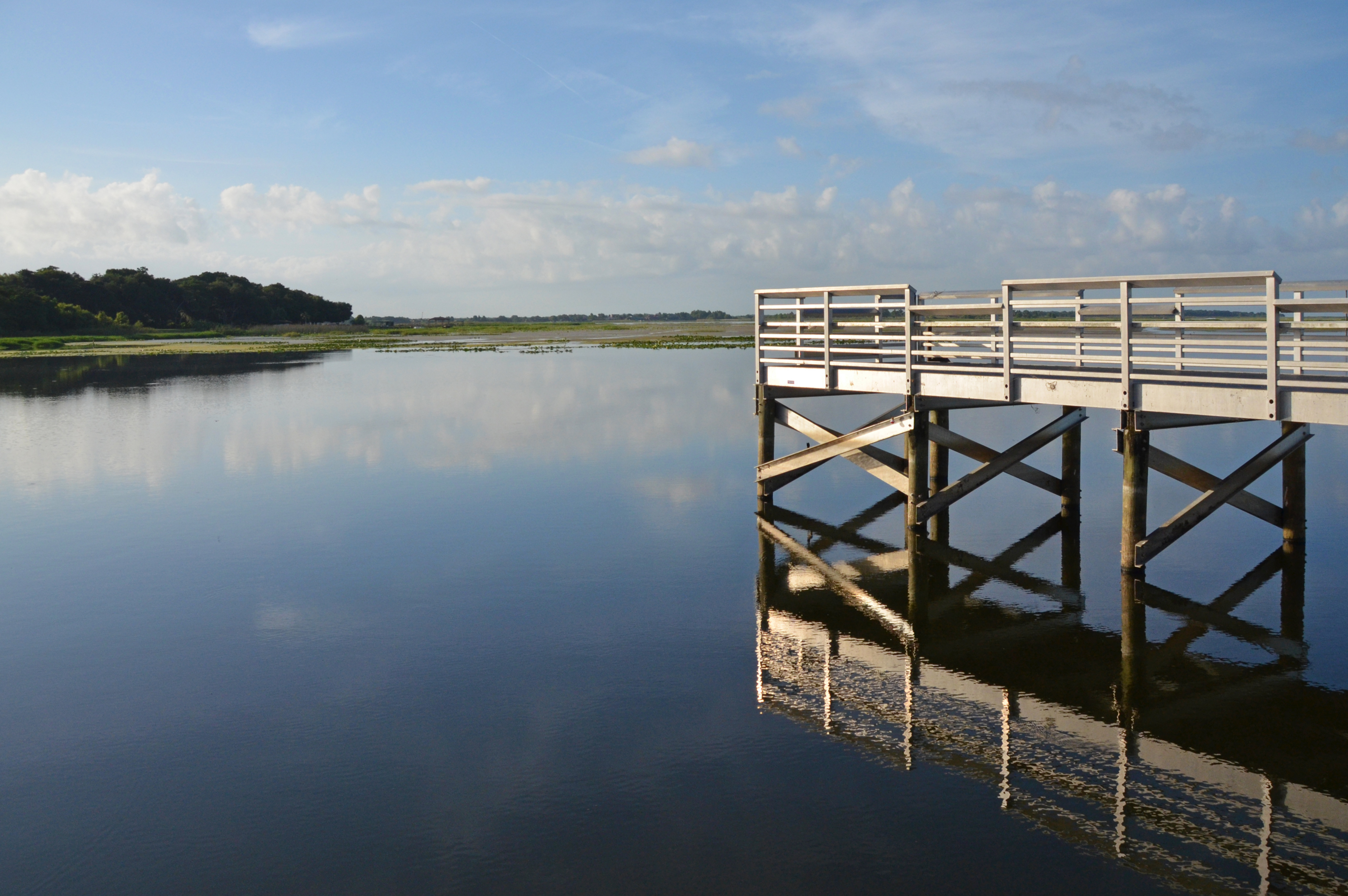Lake Tohopekaliga, Florida.jpg