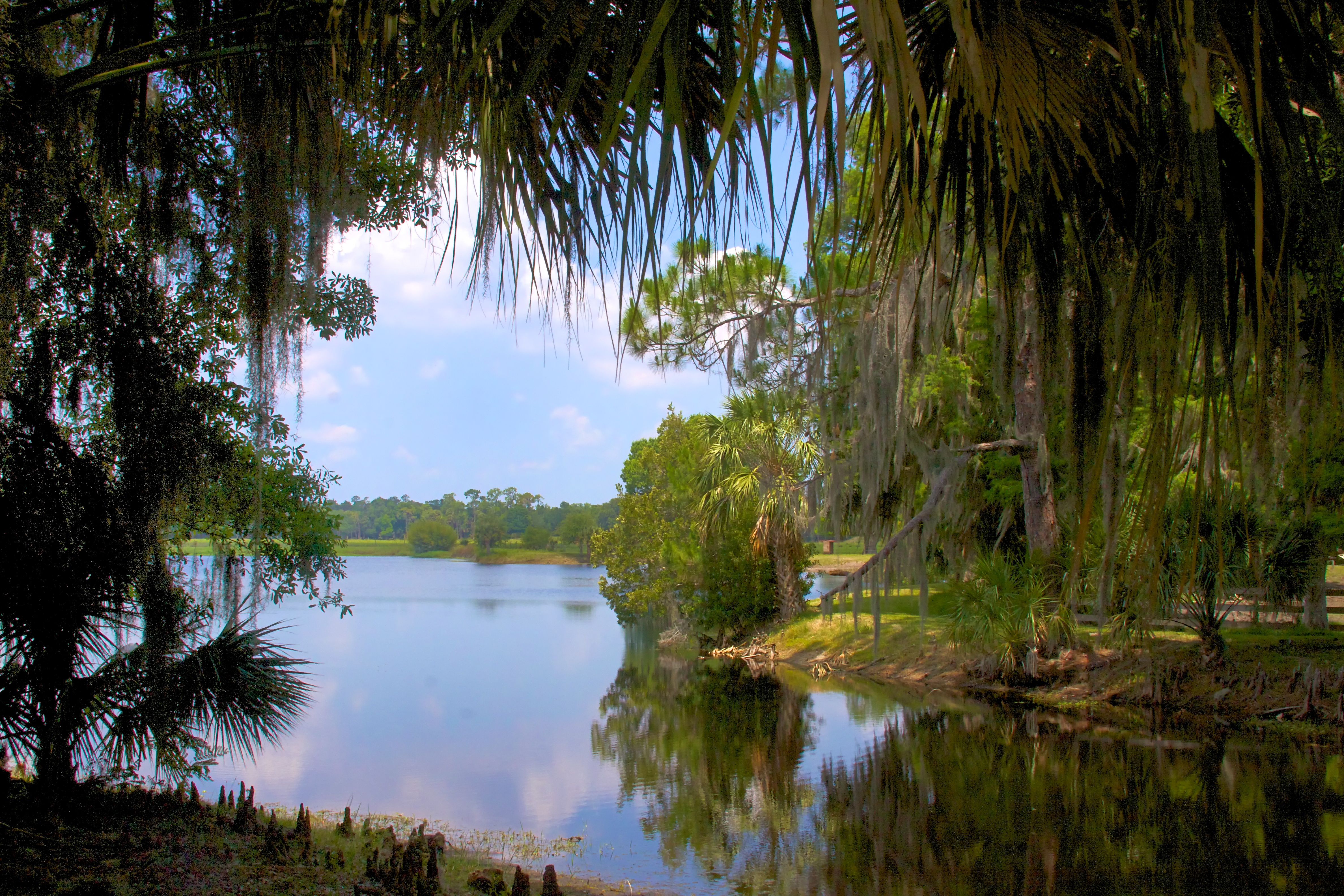 Lake Hatchineha (5763291844).jpg