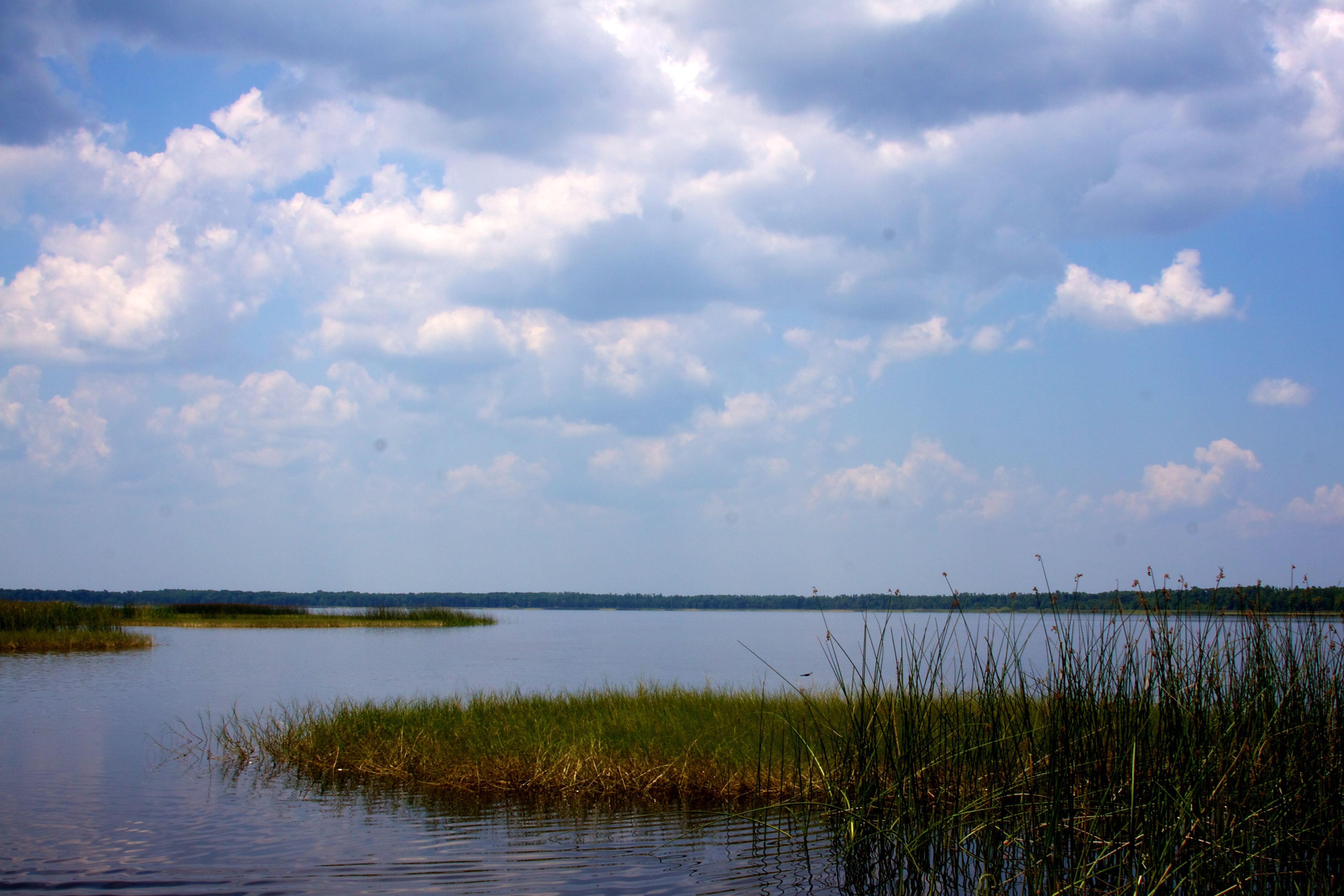 Lake Hatchineha (5763296998).jpg
