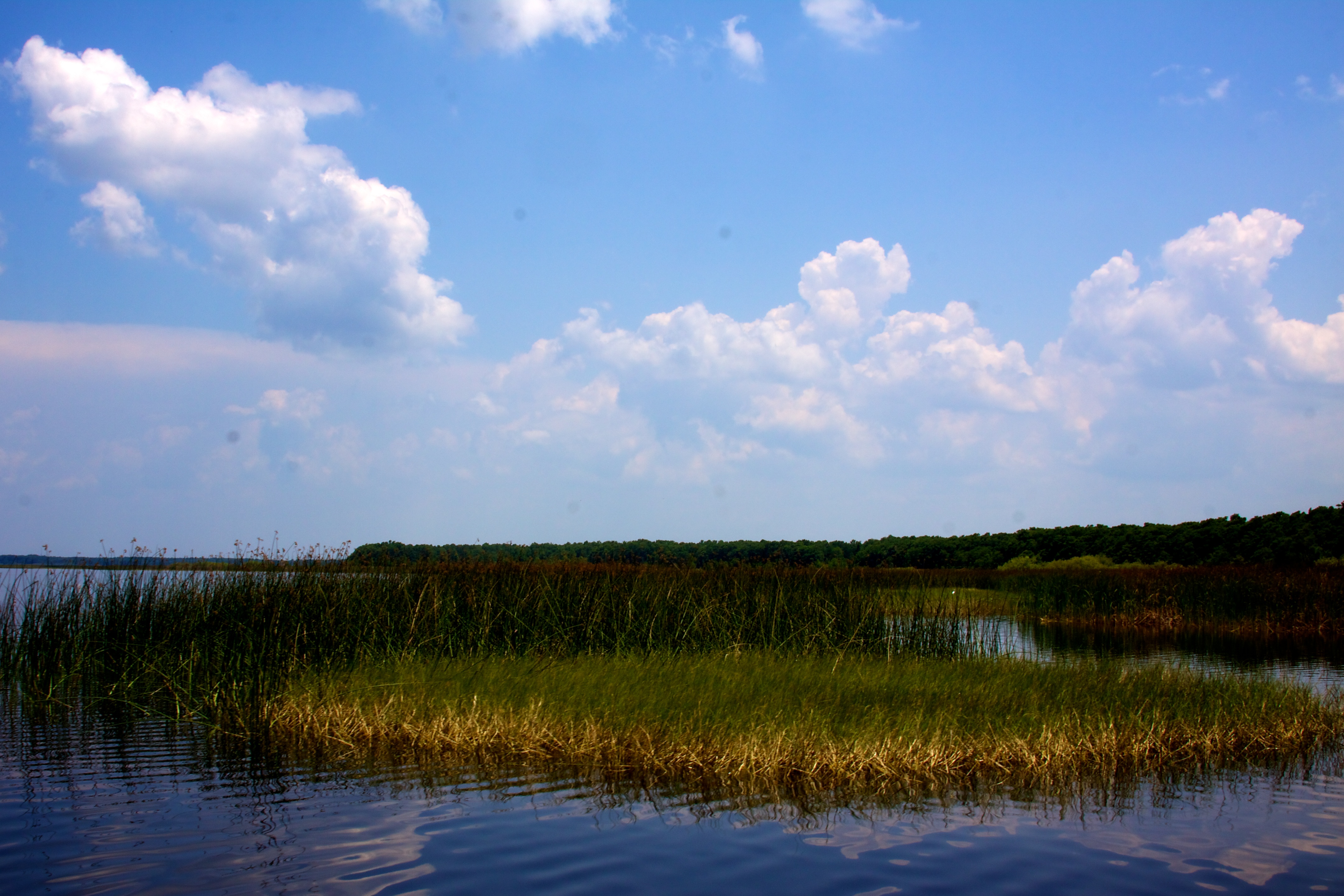 Lake Hatchineha (5763296656).jpg