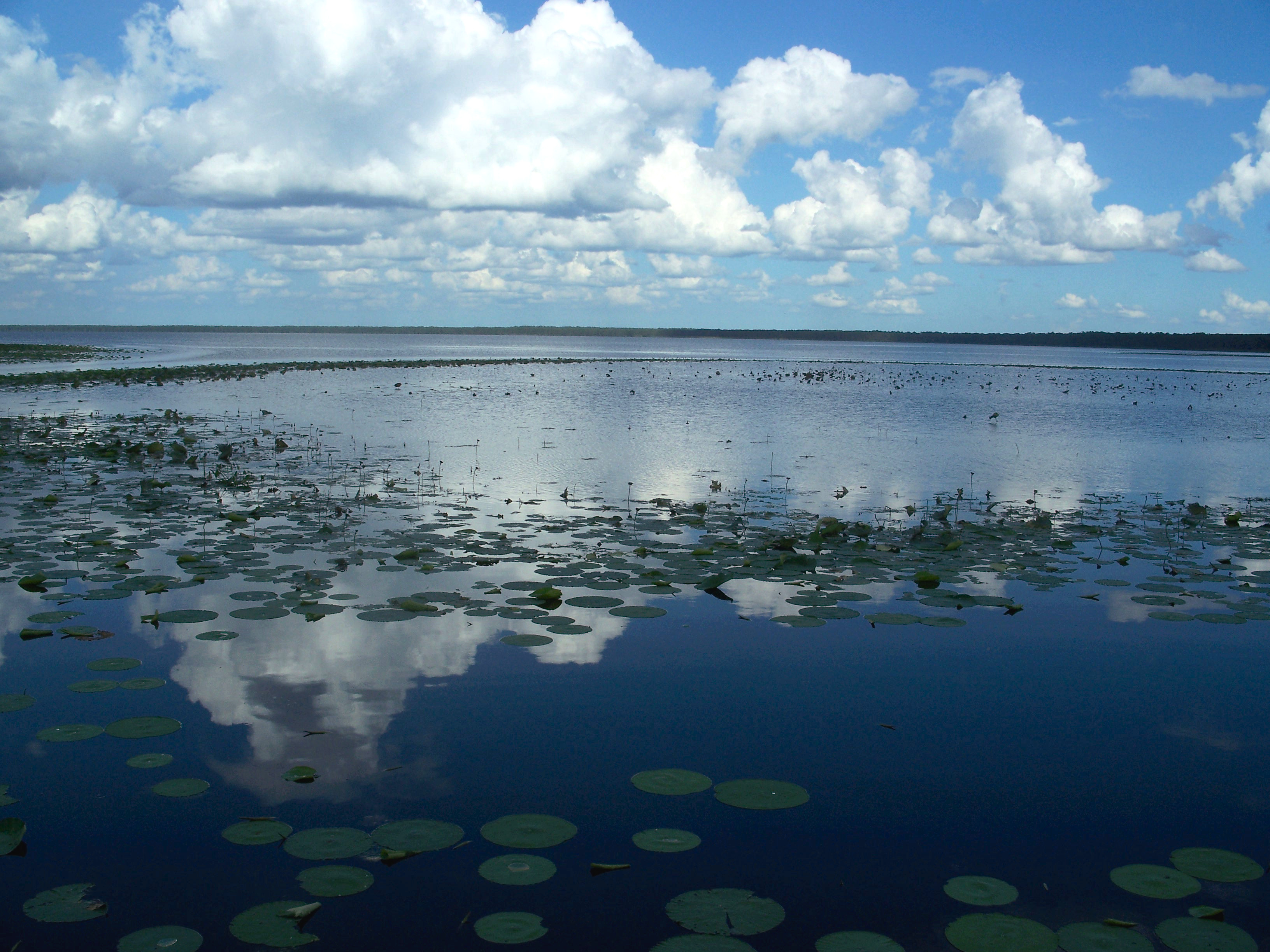 Gville Newnans Lake01.jpg