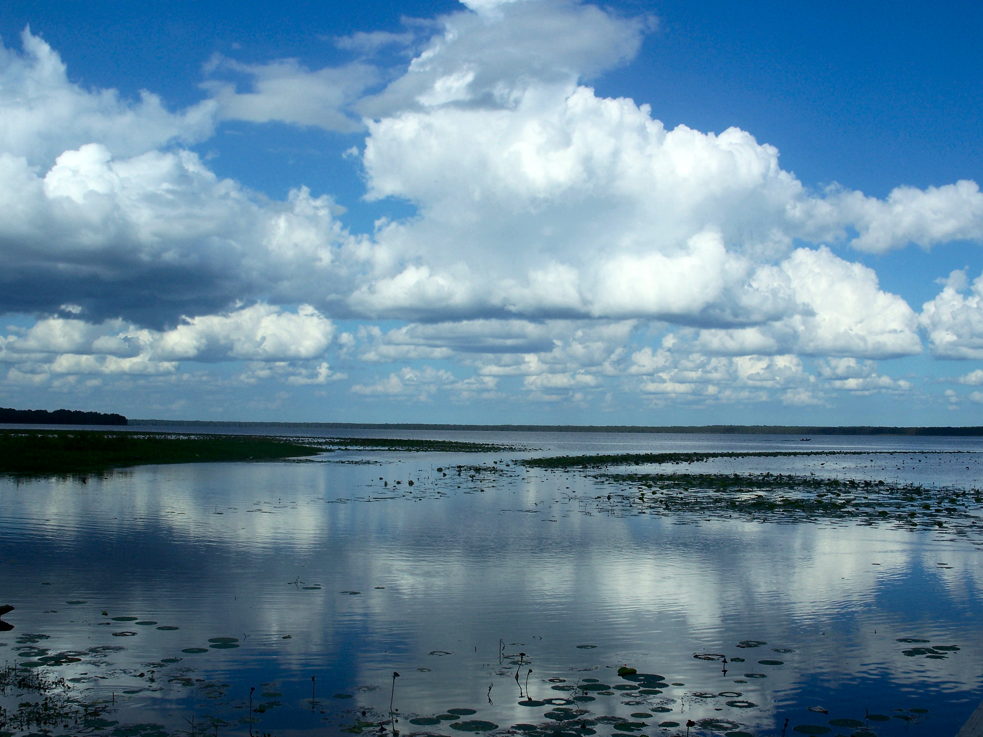 Gville Newnans Lake02.jpg