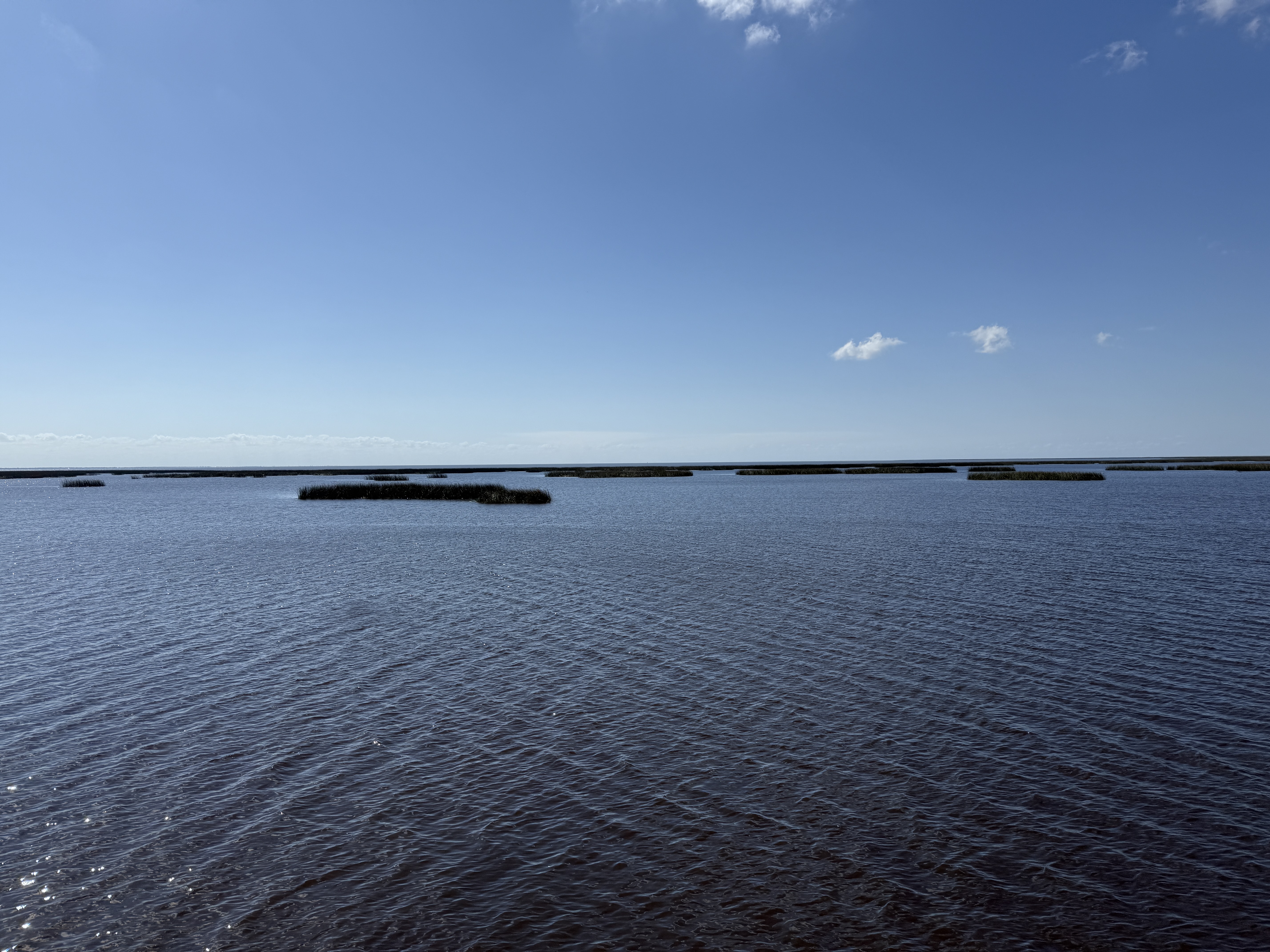 Lake Okeechobee looking south from Lake Okeechobee Park pier.jpeg