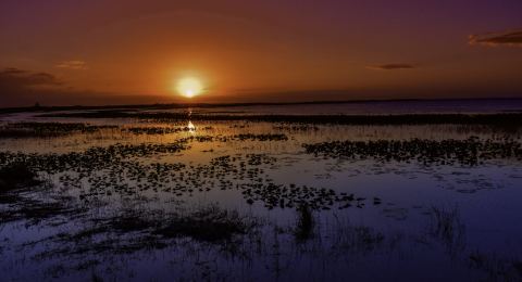 Lake Kissimmee