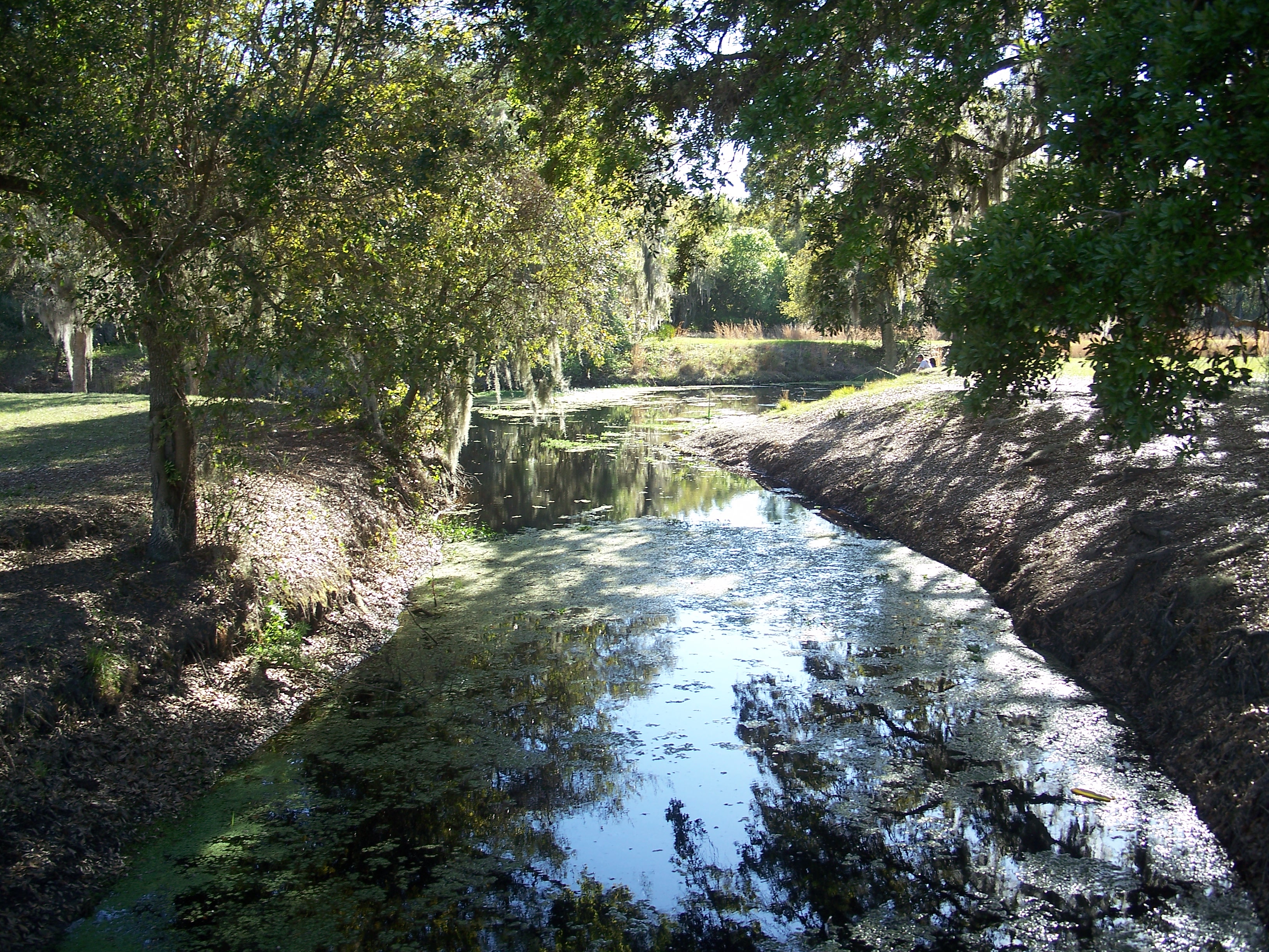 Lake Wales FL Lake Kissimmee SP03.jpg