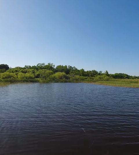 Lake Kissimmee