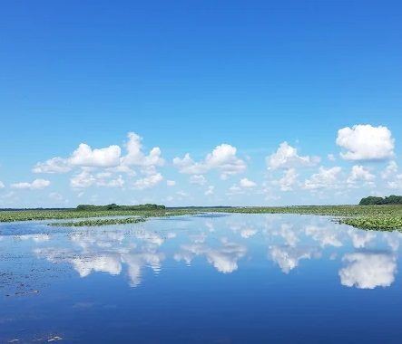 Lake Istokpoga