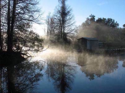 Lake Griffin