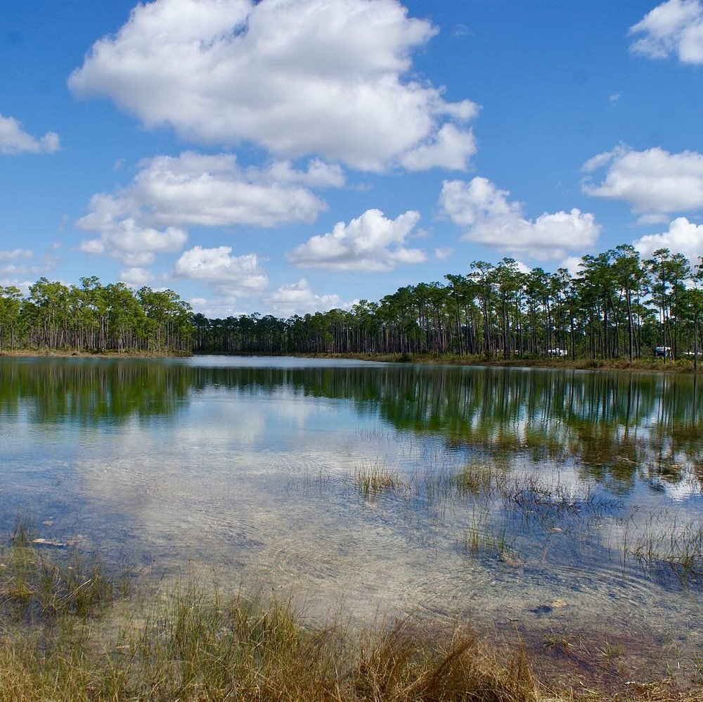 The Everglades