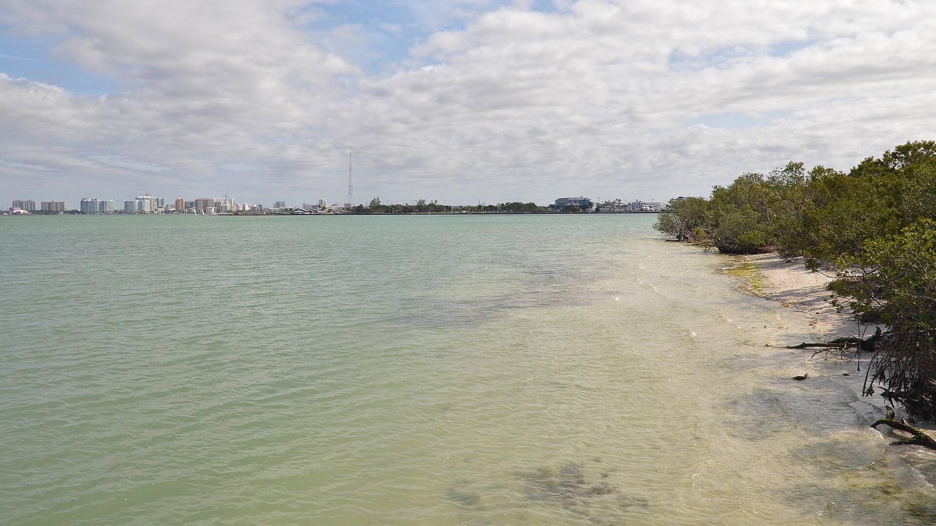 Sarasota Bay