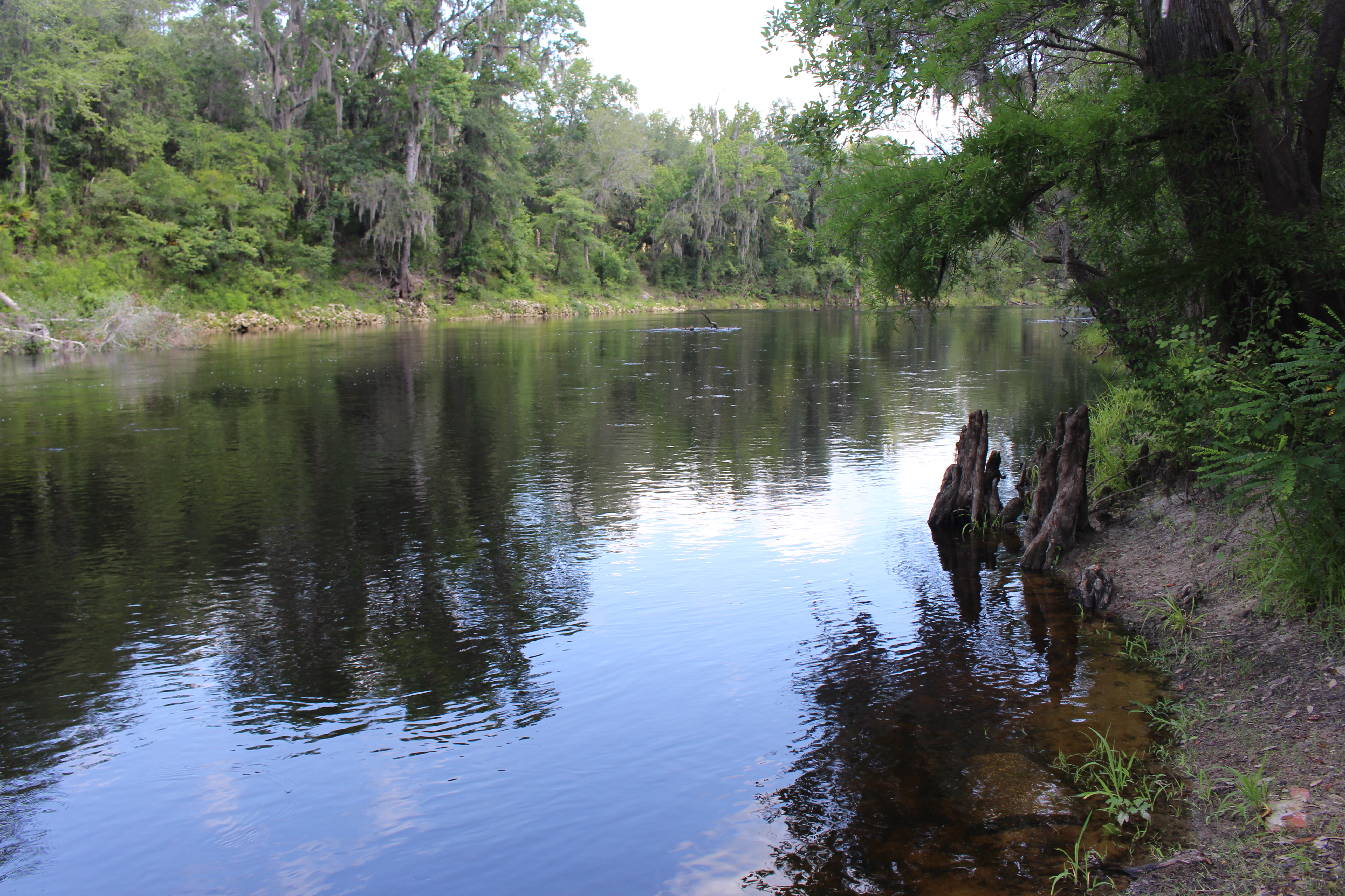 Looking north from Hamilton County NW 47th St Withlacoochee River Boat Ramp.jpg