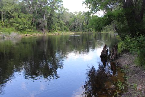 Withlacoochee River