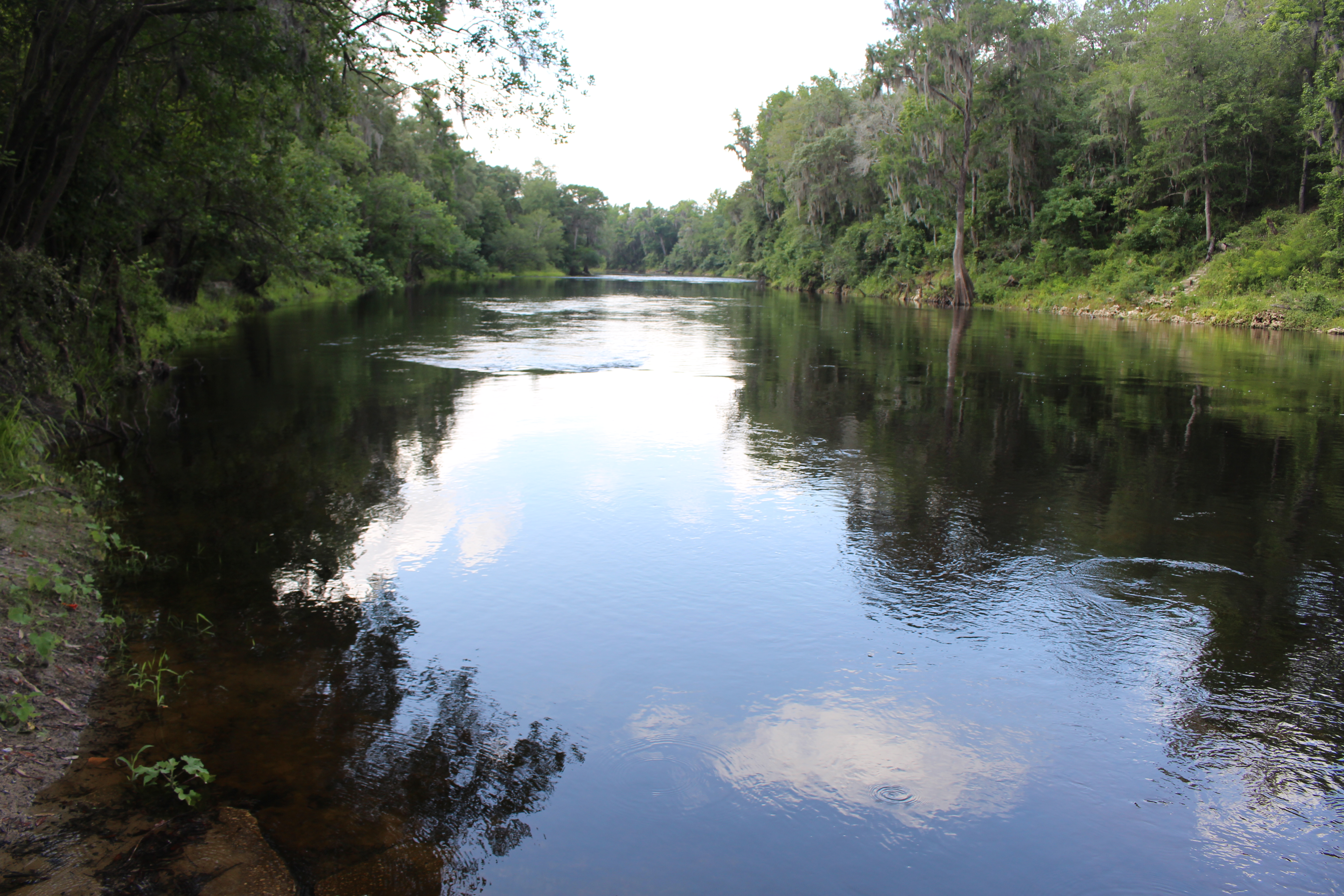 Looking south from Hamilton County NW 47th St Withlacoochee River Boat Ramp.jpg