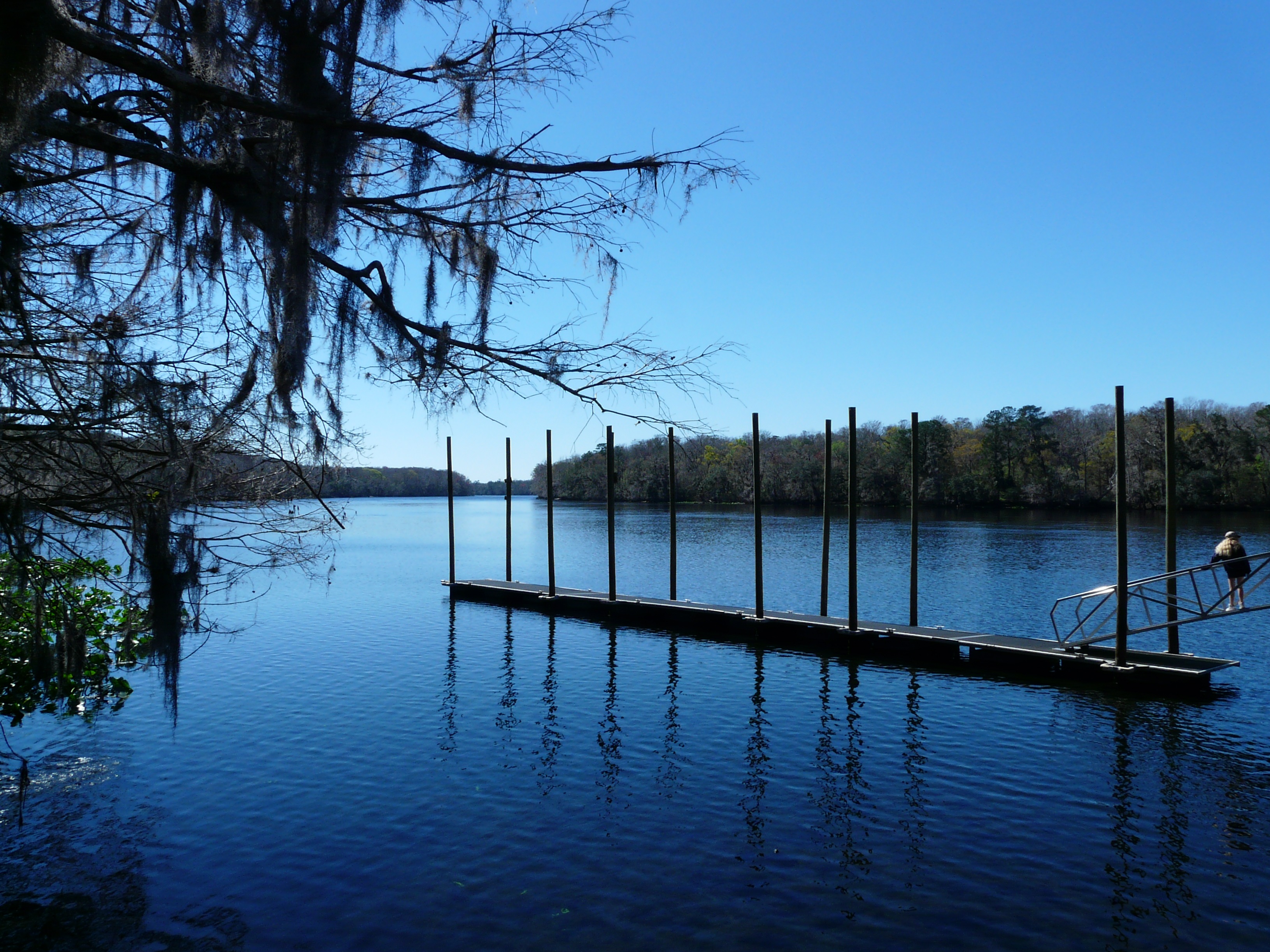 Floating dock at Manatee Springs State Park.jpg