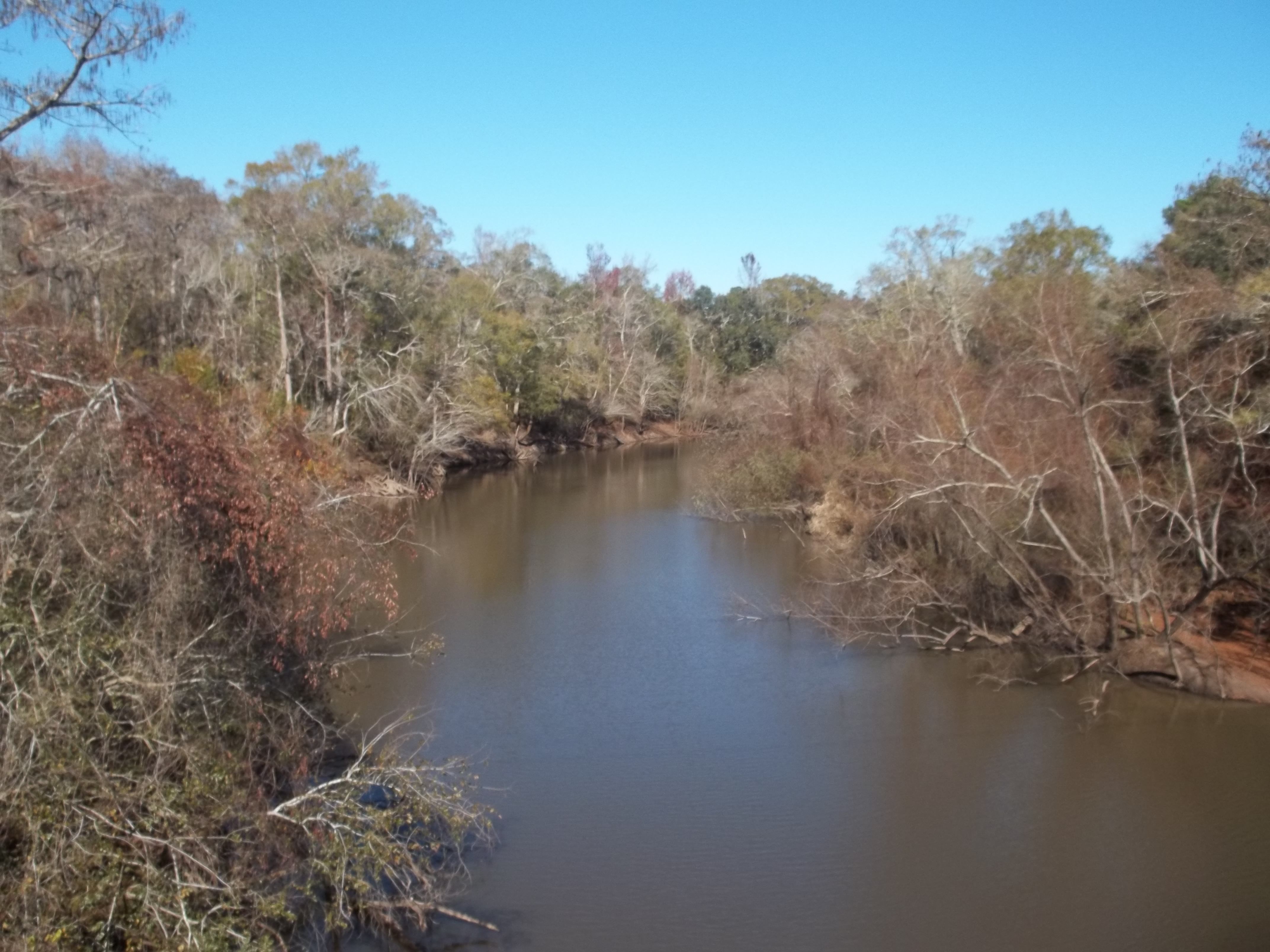 Ochlockonee River at Fairbanks Ferry Bridge north02.jpg