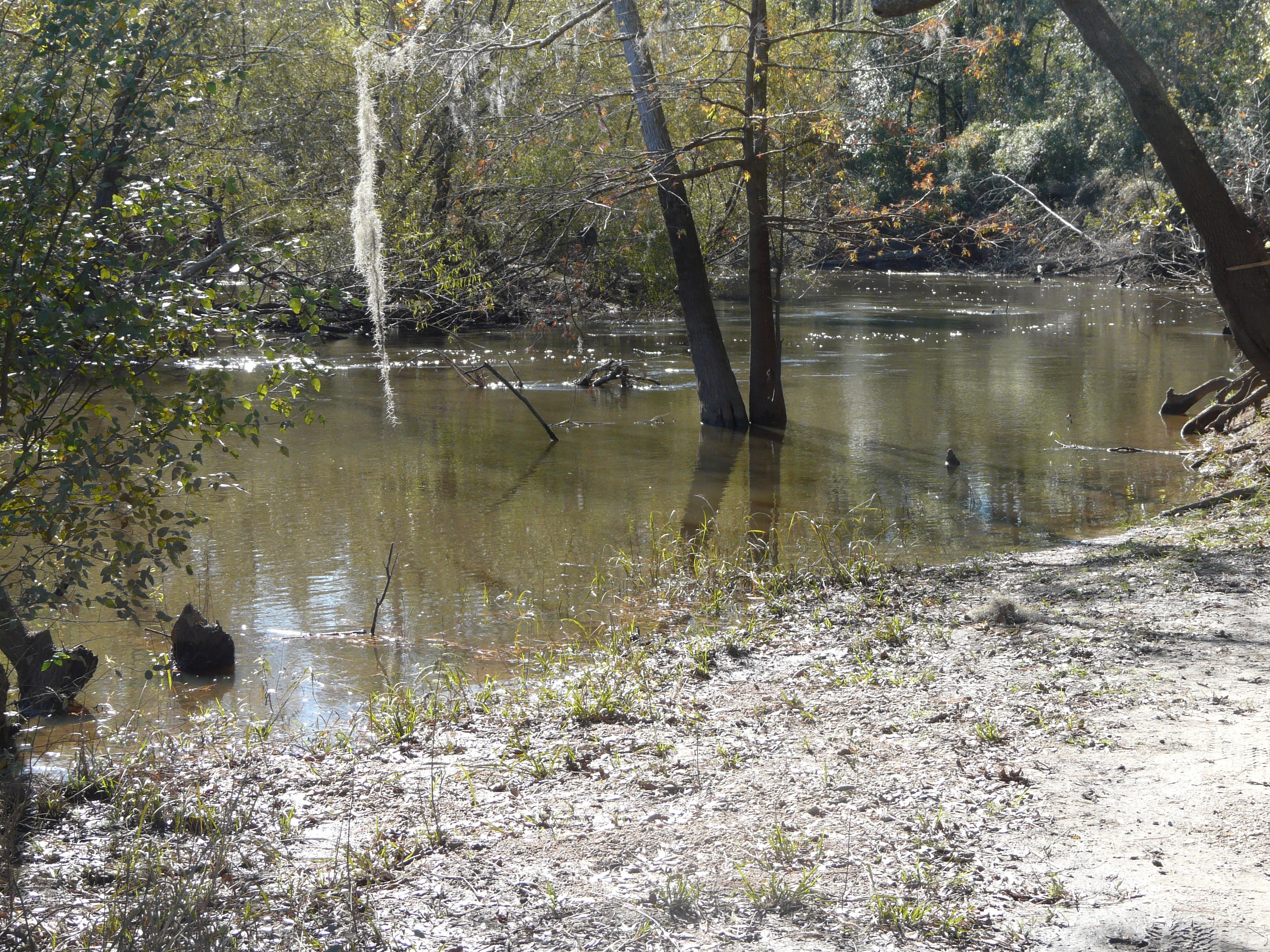 Ochlockonee River looking downstream from State Highway 93 Boat Ramp.jpg