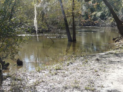 Ochlockonee River